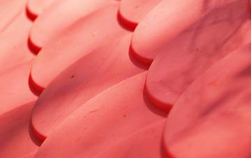Tafolwern plastic roof costs