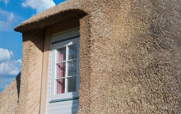 Tafolwern thatch roof disadvantages